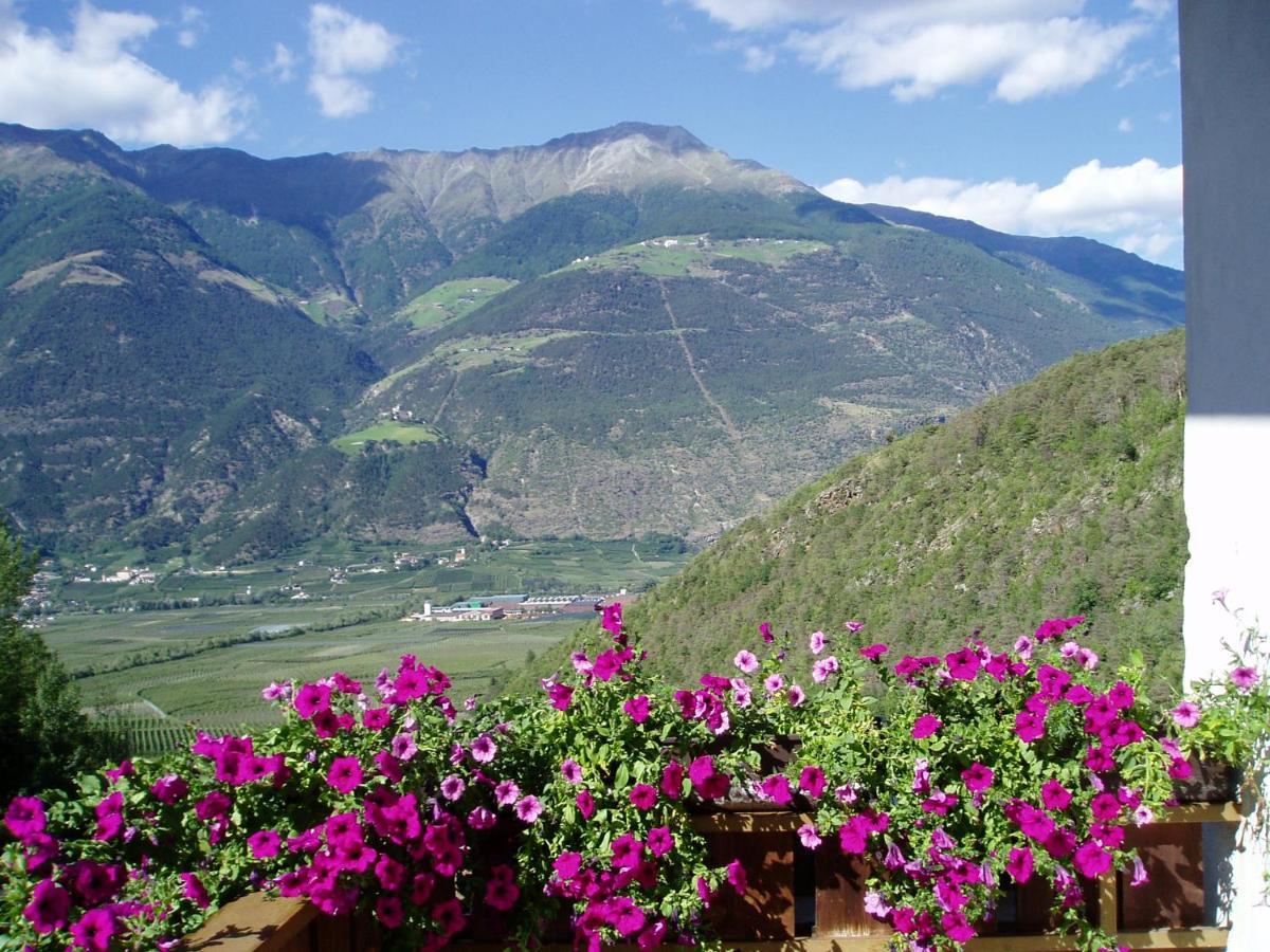 Schlosshof Zu Montani Morter Exteriör bild