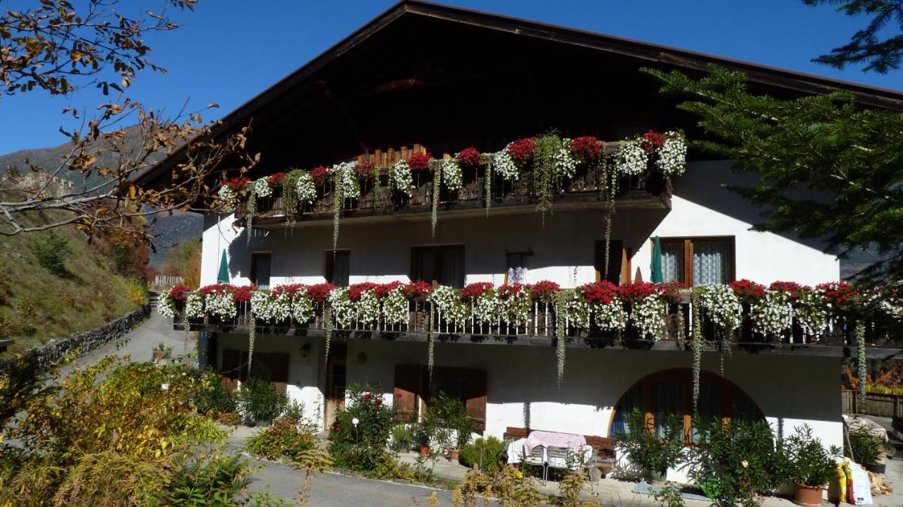 Schlosshof Zu Montani Morter Exteriör bild