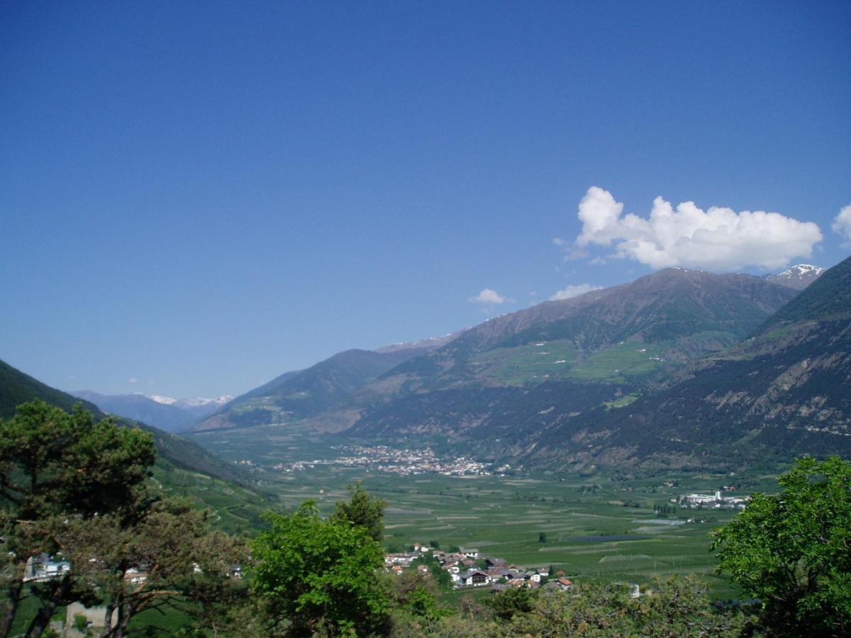 Schlosshof Zu Montani Morter Exteriör bild