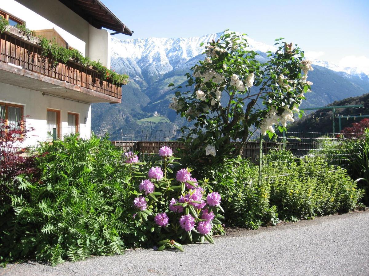 Schlosshof Zu Montani Morter Exteriör bild
